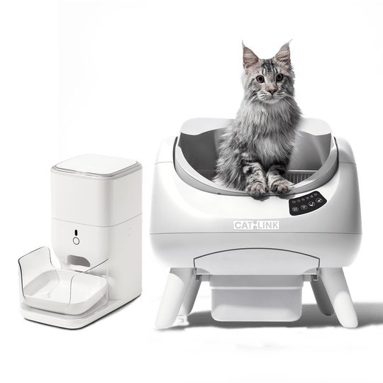 Open - X & Auto Feeder/Waterer Bundle - Catlink EU