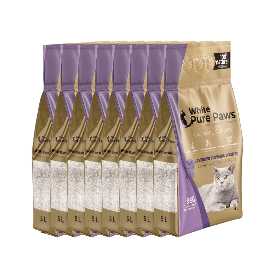 White Pure Paws Premium Bentonite Cat Litter – 99.5% Dust-Free & Strong Clumping - Catlink EU