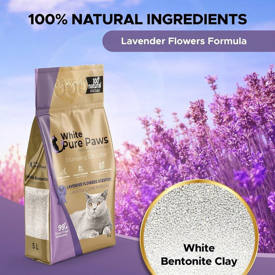 White Pure Paws Premium Bentonite Cat Litter – 99.5% Dust-Free & Strong Clumping - Catlink EU