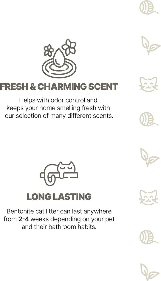 White Pure Paws Premium Bentonite Cat Litter – 99.5% Dust-Free & Strong Clumping - Catlink EU