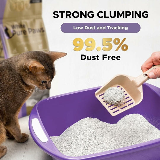 White Pure Paws Premium Bentonite Cat Litter – 99.5% Dust-Free & Strong Clumping - Catlink EU
