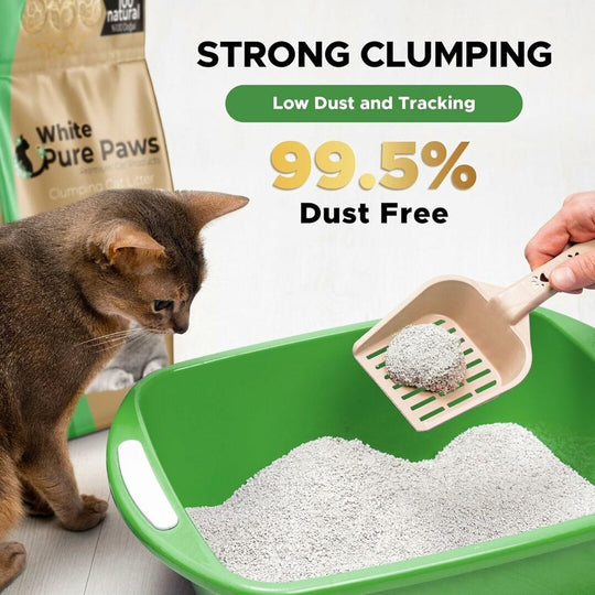 White Pure Paws Premium Bentonite Cat Litter – 99.5% Dust-Free & Strong Clumping - Catlink EU