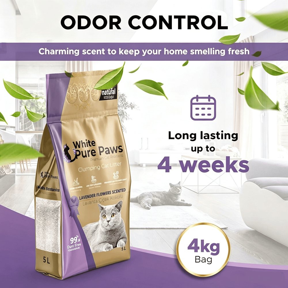 White Pure Paws Premium Bentonite Cat Litter – 99.5% Dust-Free & Strong Clumping - Catlink EU