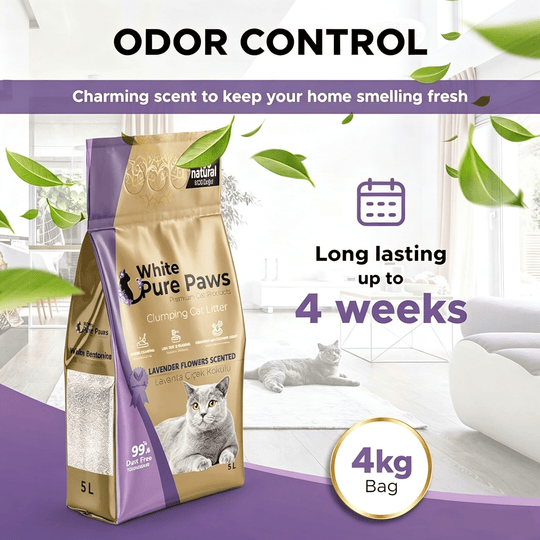 White Pure Paws Premium Bentonite Cat Litter – 99.5% Dust-Free & Strong Clumping - Catlink EU