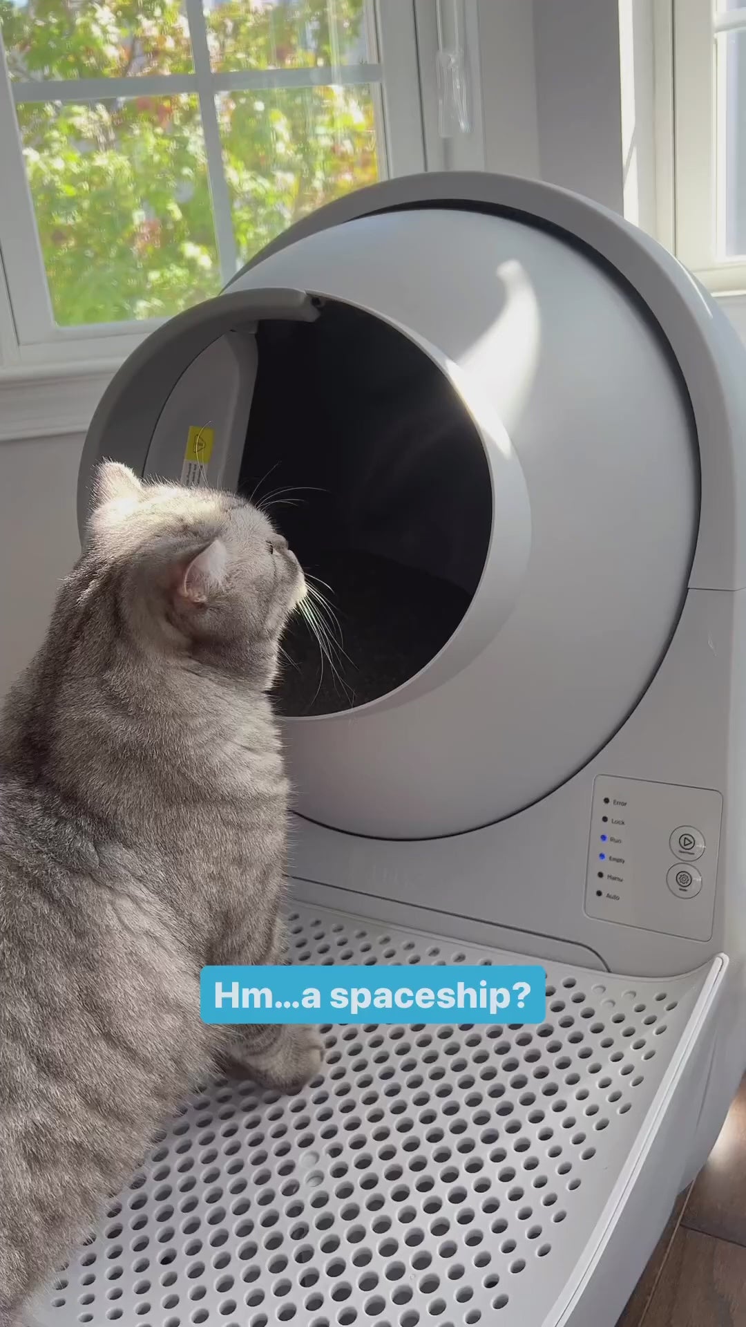Catlink Young Αυτόματο Καθαρισμό Αμμοδοχείου