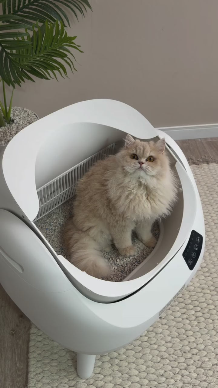 CATLINK Open-X Lettiera Autopulente a Coperchio Aperto