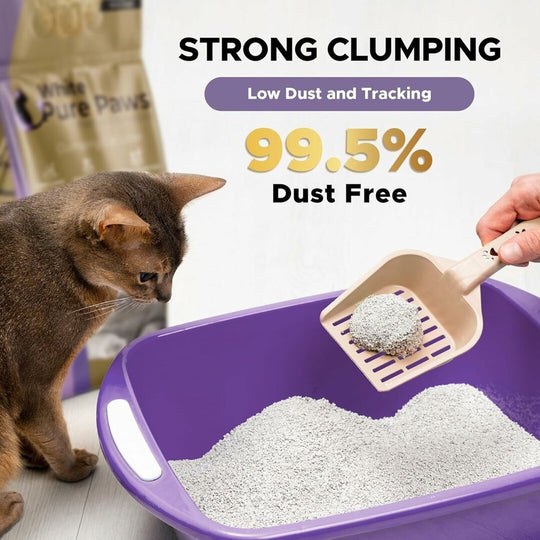 White Pure Paws Premium Bentonite Cat Litter – 99.5% Dust-Free & Strong Clumping