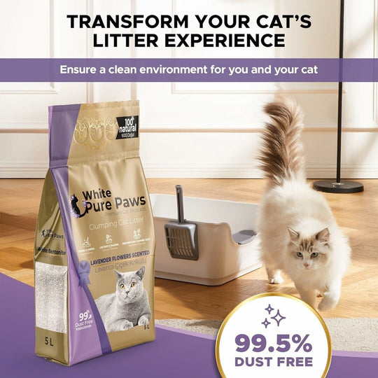 White Pure Paws Premium Bentonite Cat Litter – 99.5% Dust-Free & Strong Clumping