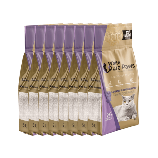 White Pure Paws Premium Bentonite Cat Litter – 99.5% Dust-Free & Strong Clumping