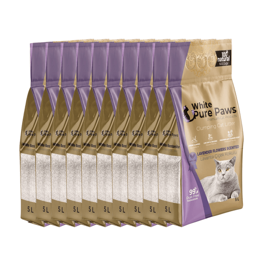 White Pure Paws Premium Bentonite Cat Litter – 99.5% Dust-Free & Strong Clumping