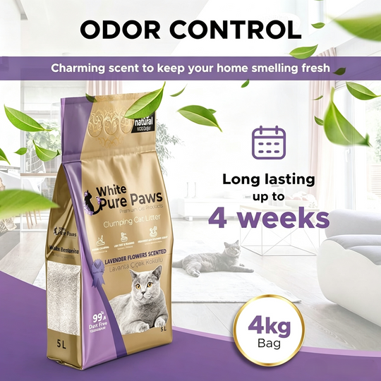 White Pure Paws Premium Bentonite Cat Litter – 99.5% Dust-Free & Strong Clumping